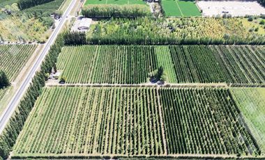 Venta de Chacra con frente de Ruta 22, Allen