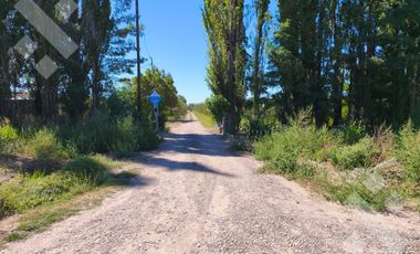 Venta de Chacra con frente de Ruta 22, Allen