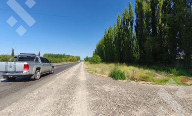 Venta de Chacra con frente de Ruta 22, Allen