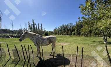 Quinta en General Fernandez Oro