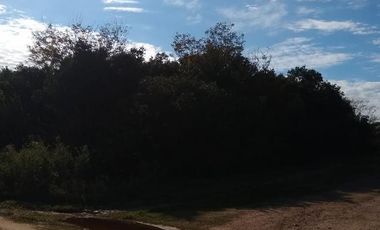 Terreno - Puerto Yerua