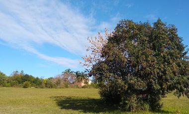 Terreno - Puerto Yerua