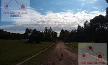 Terreno - Puerto Yerua