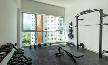 APARTAESTUDIO EN ARRIENDO EN AV CENTENARIO/ARMENIA