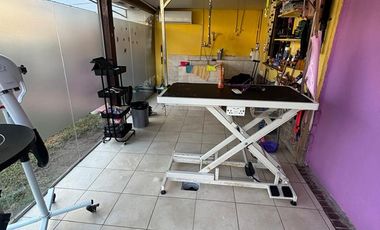 Casa 4 ambientes jardín. Olivos.