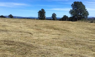 Parcela en venta  en GORBEA