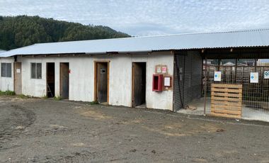 Oficina en arriendo  en VALDIVIA