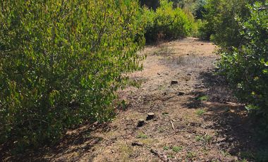 Parcela en venta  en FLORIDA