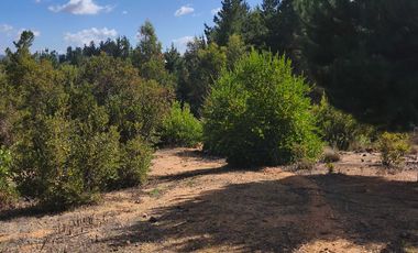 Parcela en venta  en FLORIDA