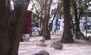 Local - Olivos-Vias/Maipu