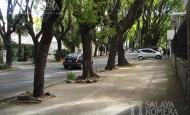 Local - Olivos-Vias/Maipu
