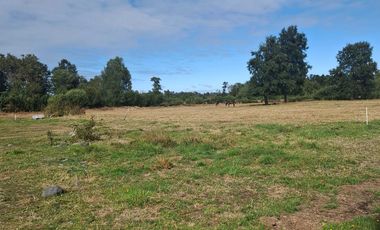 Parcela en venta  en PUYEHUE