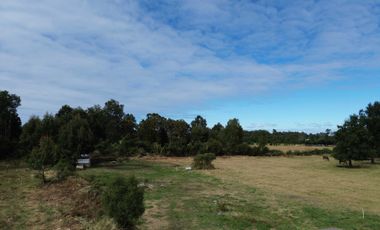Parcela en venta  en PUYEHUE