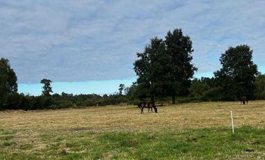 Parcela en venta  en PUYEHUE