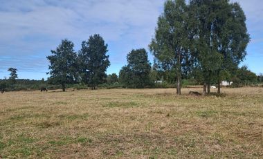 Parcela en venta  en PUYEHUE