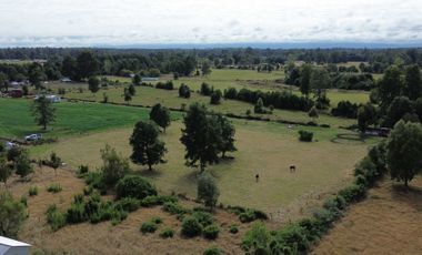 Parcela en venta  en PUYEHUE