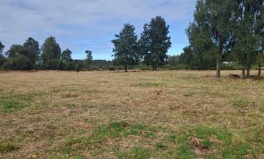 Parcela en venta  en PUYEHUE