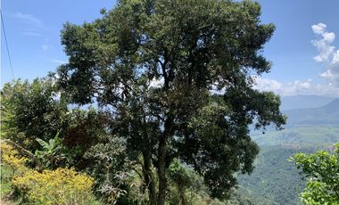 Finca en venta en Santa Barbara, Alto de los Gomez