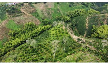 Finca independiente para la venta en Altagracia, Pereira !!!