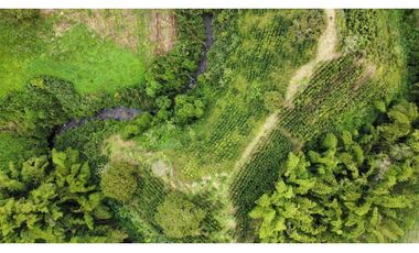 Finca independiente para la venta en Altagracia, Pereira !!!