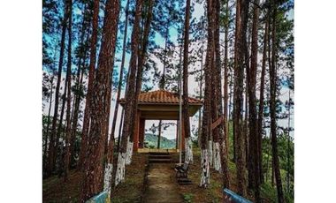 Casa en Venta en Las Minas de Ocú, Provincia de Herrera.