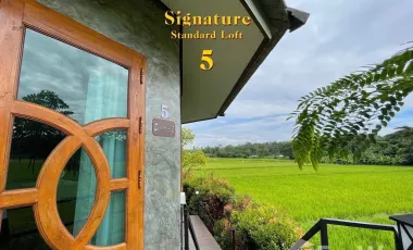 8 Bedroom Hotel for sale in Fai Kaeo, Nan