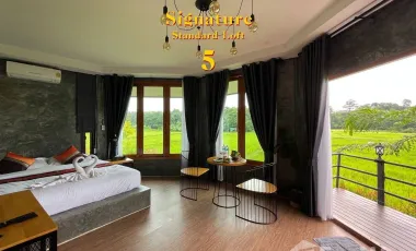 8 Bedroom Hotel for sale in Fai Kaeo, Nan