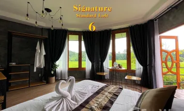 8 Bedroom Hotel for sale in Fai Kaeo, Nan