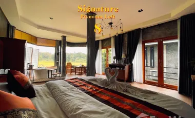 8 Bedroom Hotel for sale in Fai Kaeo, Nan