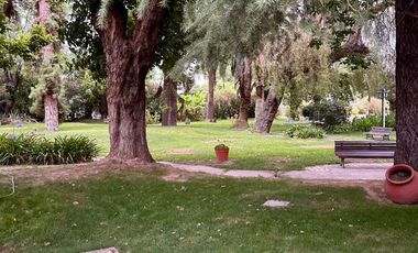 Departamento en Godoy Cruz