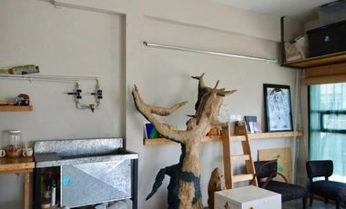 Local en Villa Ballester