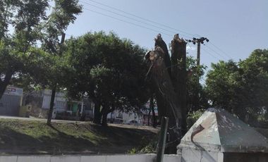 CASA EN ALQUILER 50M DE RUTA Nº 38 CON ENTRADA A COSQUIN ROCK REF 652