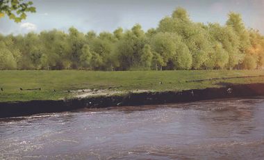 Fracción en Río Carcarañá