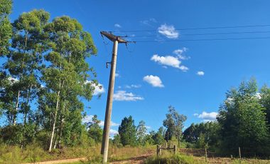 Campo en Concordia (Puerto Yeruá)