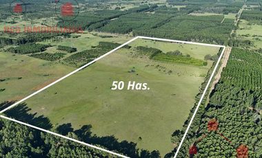 Campo en Concordia (Puerto Yeruá)