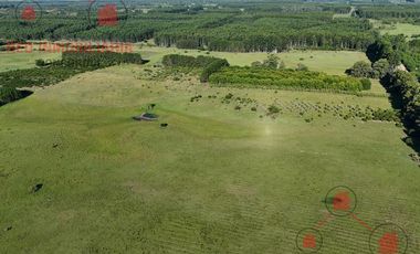 Campo en Concordia (Puerto Yeruá)