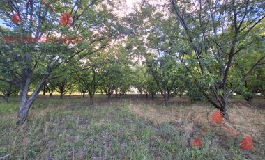 Campo en Concordia (Puerto Yeruá)