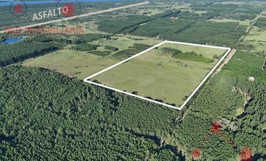 Campo en Concordia (Puerto Yeruá)