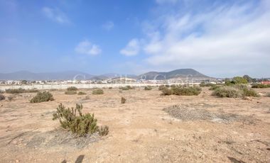 Parcela en venta  en COQUIMBO
