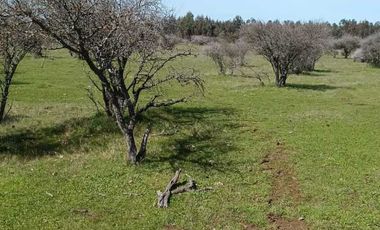 Parcela en venta  en SAN NICOLÁS