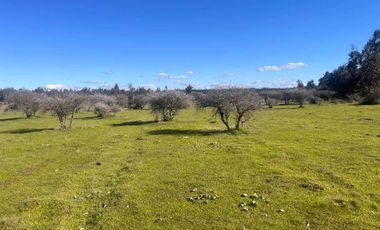 Parcela en venta  en SAN NICOLÁS