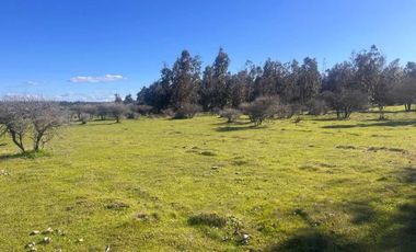 Parcela en venta  en SAN NICOLÁS