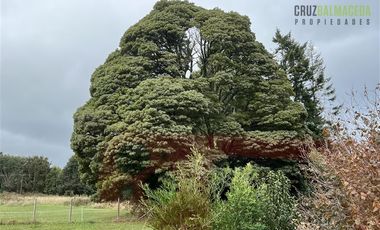Casa en Arriendo en Amoblada en Puerto Rosales con acceso al Lago