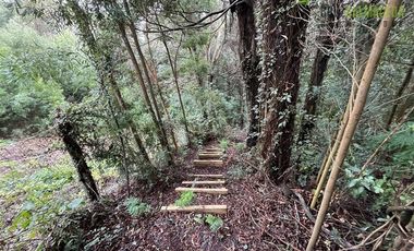 Casa en Arriendo en Amoblada en Puerto Rosales con acceso al Lago