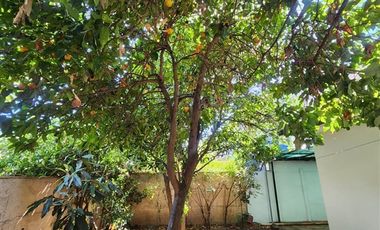 Casa en Venta en 15 1/2 poniente 095