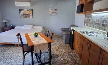 DEPARTAMENTO TIPO LOFT EN RENTA CENTRICO