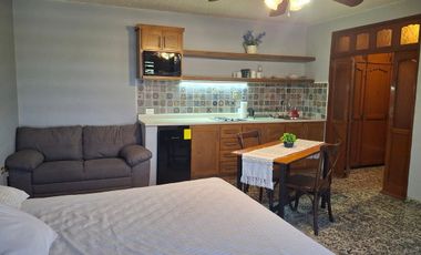 DEPARTAMENTO TIPO LOFT EN RENTA CENTRICO