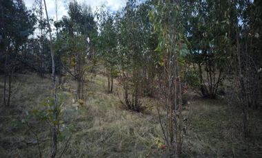 VENTA TERRENO - SITIO 50000MTS LITUECHE