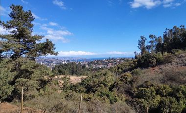 Alta plusvalía, terreno 2000 m2 en Los Pinos