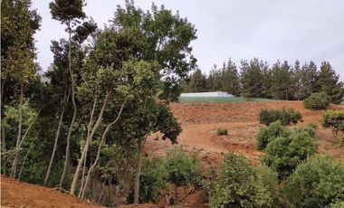 Alta plusvalía, terreno 2000 m2 en Los Pinos